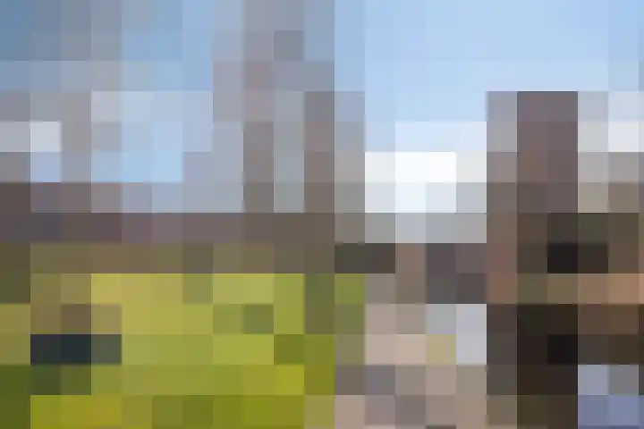 Petrus Campersingel 151 Groningen thumbnail 47