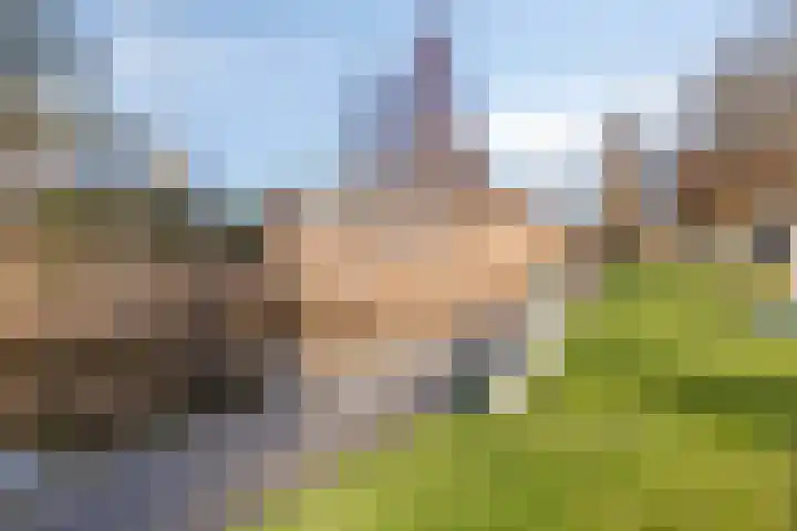 Petrus Campersingel 151 Groningen thumbnail 48