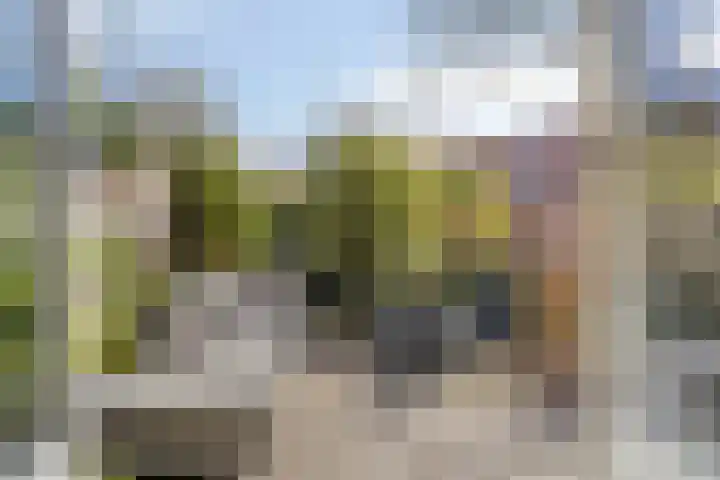 Petrus Campersingel 151 Groningen thumbnail 5