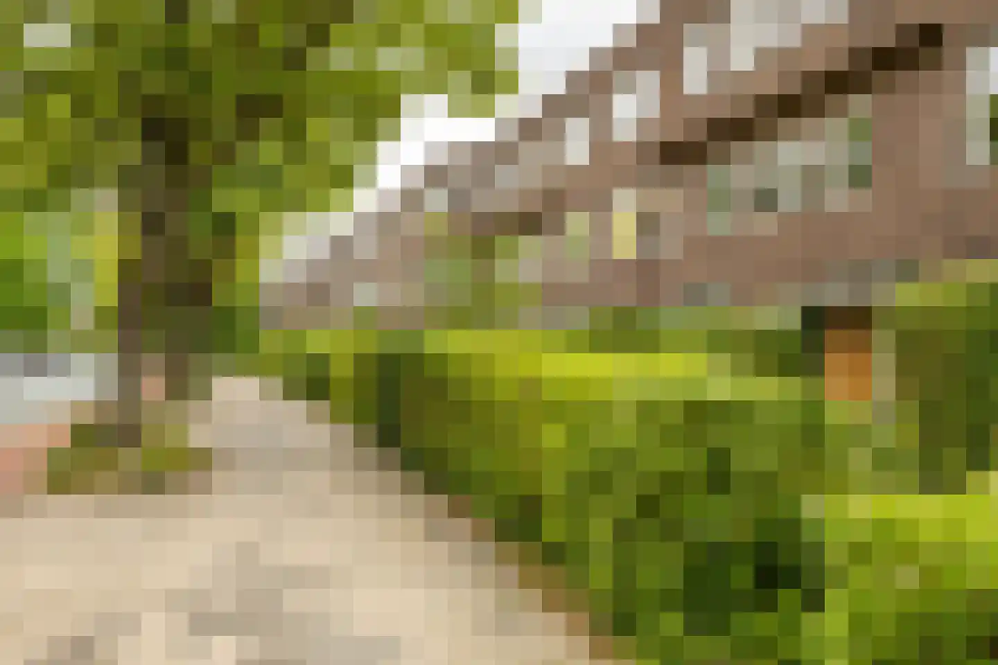 Petrus Campersingel 161 a Groningen thumbnail 38