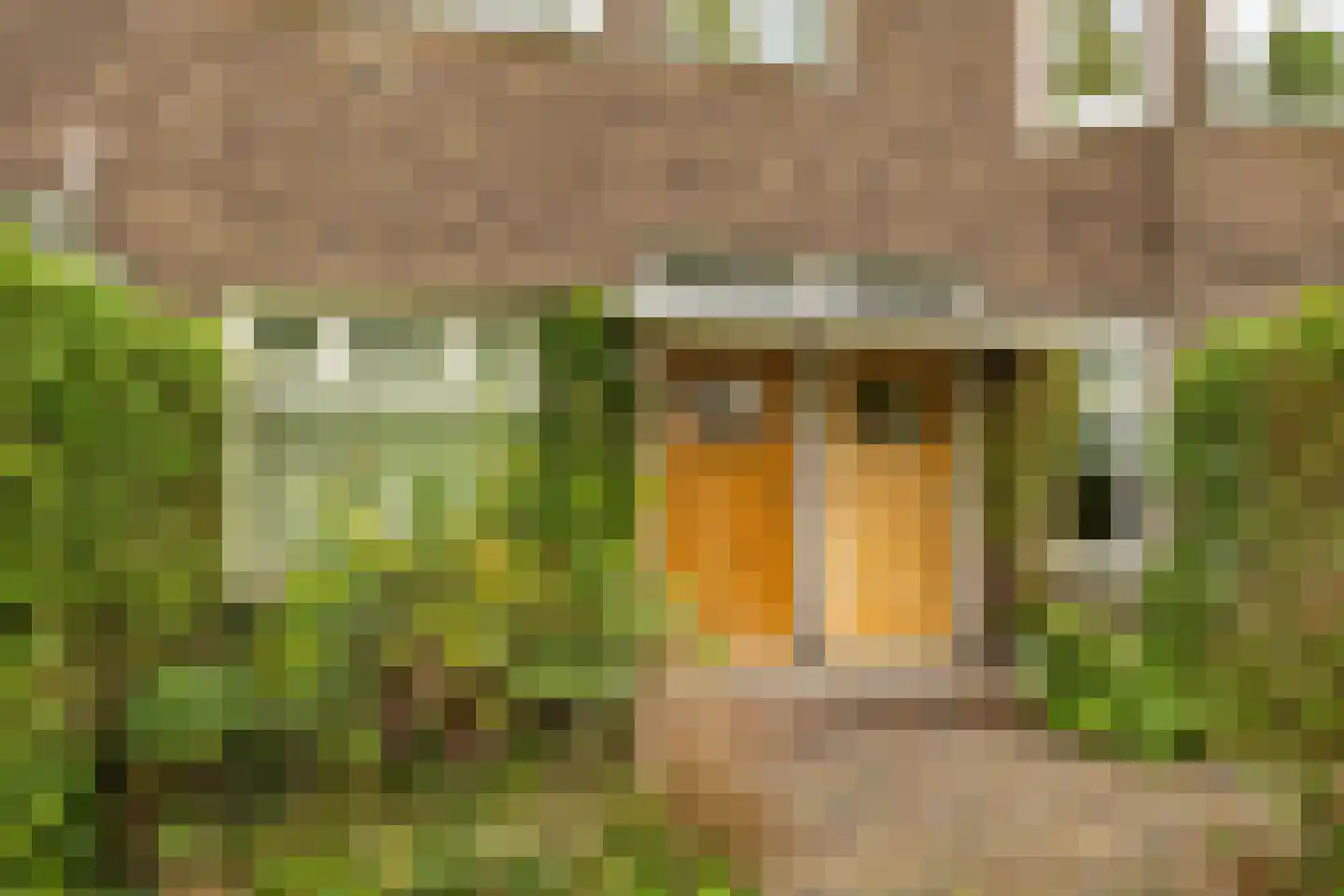 Petrus Campersingel 161 a Groningen thumbnail 6