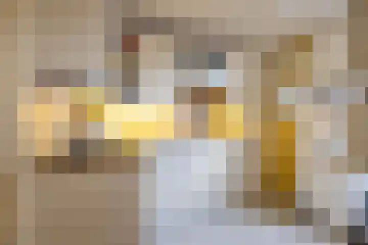 Petrus Campersingel 17 Groningen thumbnail 19