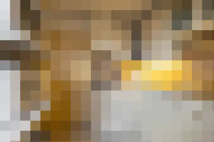 Petrus Campersingel 17 Groningen thumbnail 21