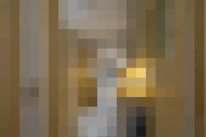 Petrus Campersingel 17 Groningen thumbnail 28