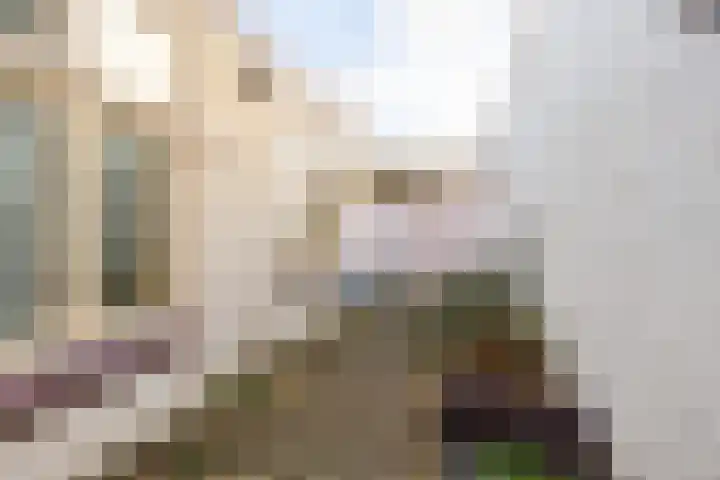 Petrus Campersingel 17 Groningen thumbnail 42