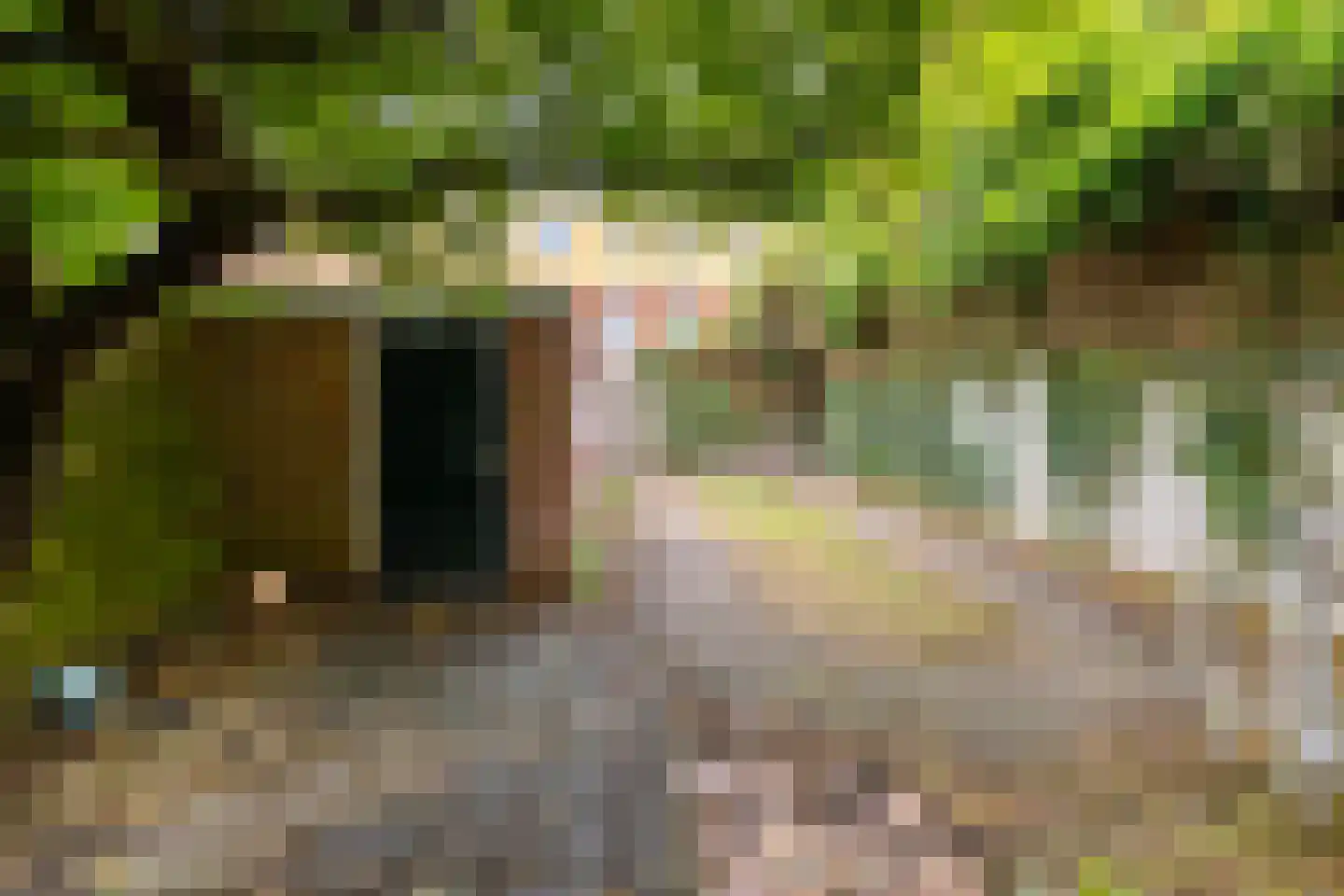 Petrus Campersingel 177 Groningen thumbnail 34