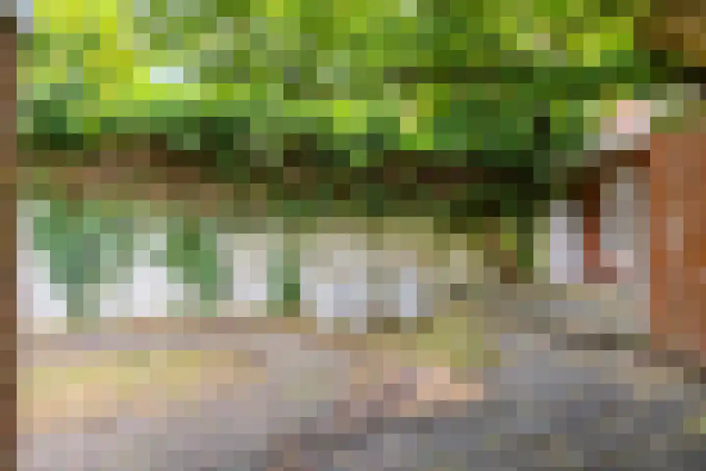 Petrus Campersingel 177 Groningen thumbnail 36