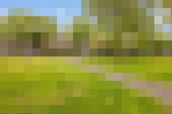 Petrus Campersingel 199 a Groningen thumbnail 11