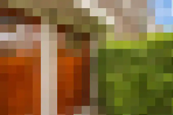 Petrus Campersingel 199 a Groningen thumbnail 5