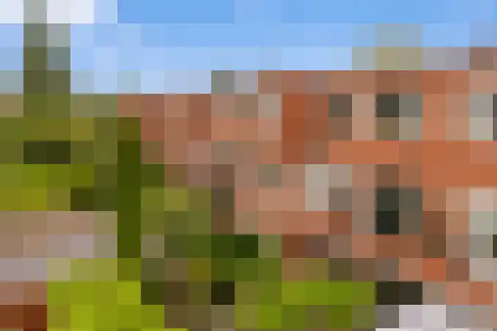 Petrus Campersingel 199 a Groningen thumbnail 52