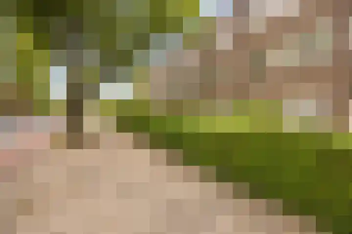 Petrus Campersingel 199 a Groningen thumbnail 7