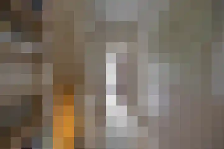 Petrus Campersingel 249 Groningen thumbnail 22