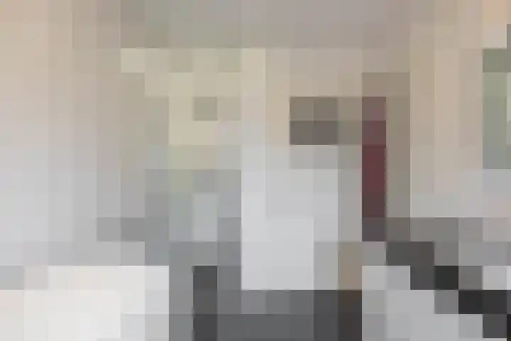 Petrus Campersingel 249 Groningen thumbnail 32