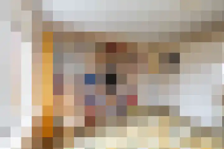 Petrus Campersingel 249 Groningen thumbnail 40
