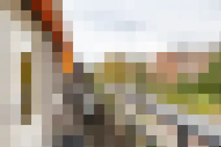 Petrus Campersingel 249 Groningen thumbnail 45