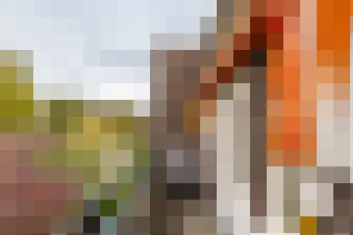 Petrus Campersingel 249 Groningen thumbnail 46