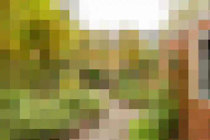 Petrus Campersingel 249 Groningen thumbnail 52