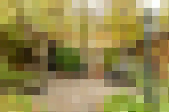 Petrus Campersingel 249 Groningen thumbnail 53