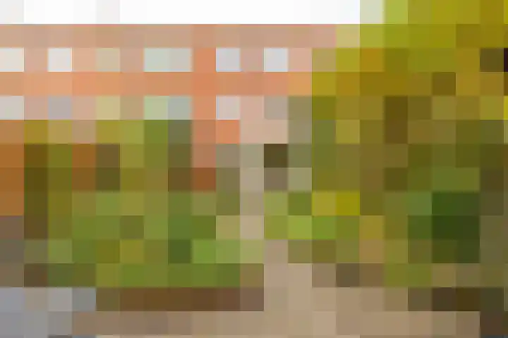 Petrus Campersingel 249 Groningen thumbnail 54