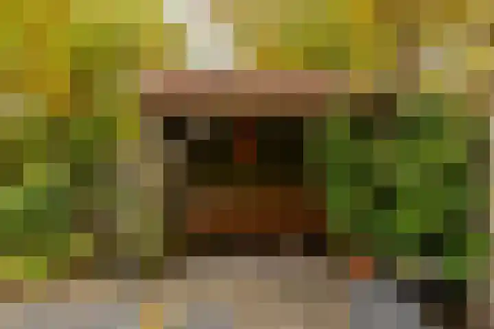 Petrus Campersingel 249 Groningen thumbnail 55