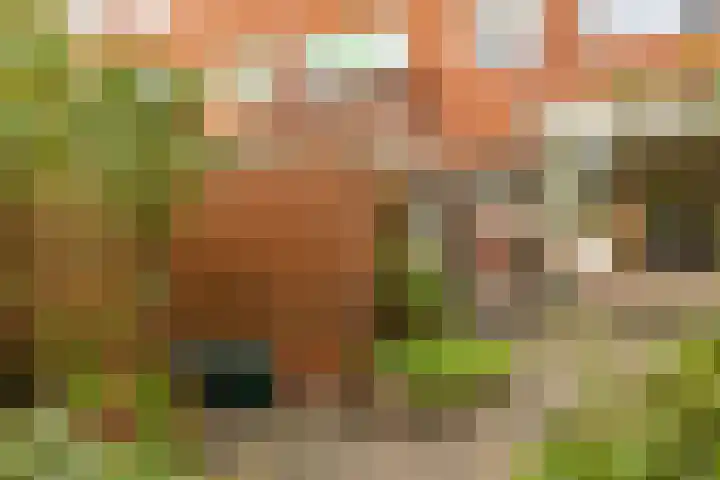 Petrus Campersingel 249 Groningen thumbnail 56