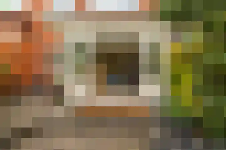 Petrus Campersingel 249 Groningen thumbnail 57
