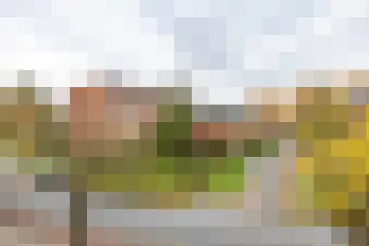 Petrus Campersingel 249 Groningen thumbnail 58