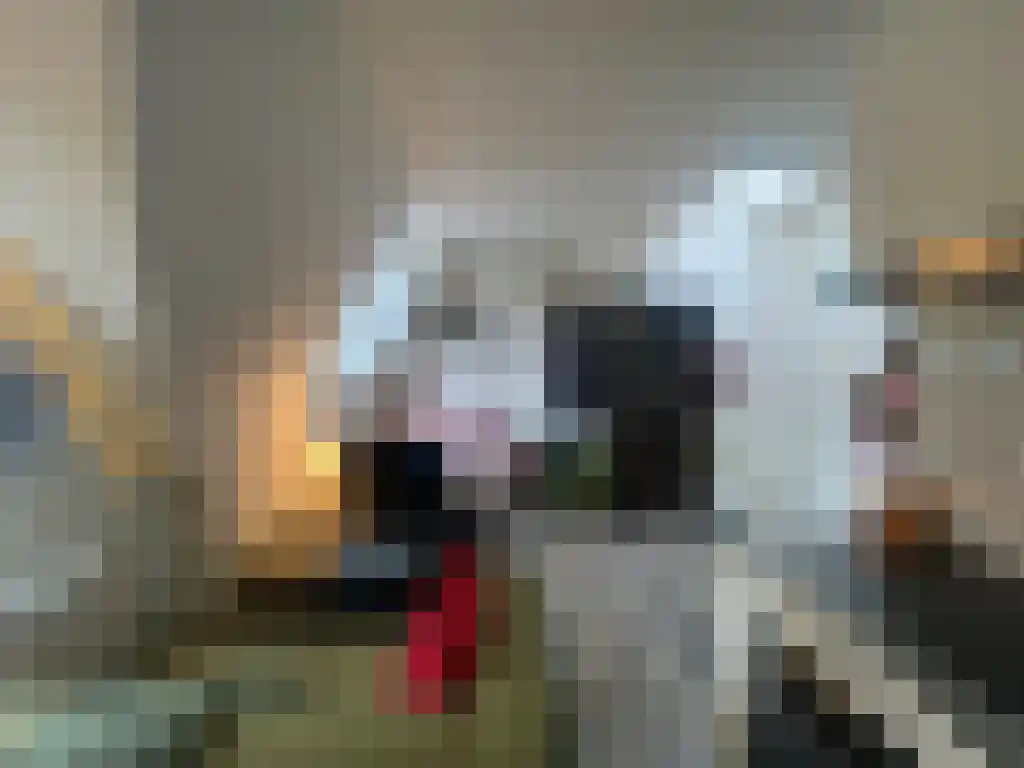 Petrus Campersingel 27 Groningen thumbnail 5