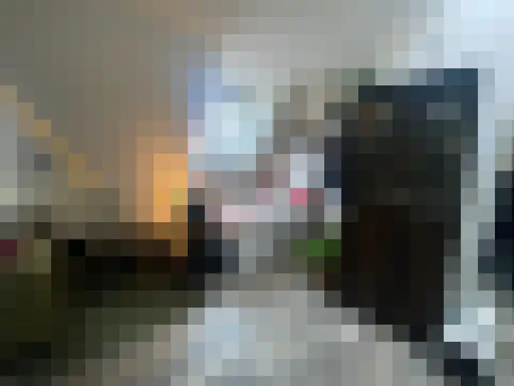 Petrus Campersingel 27 Groningen thumbnail 6