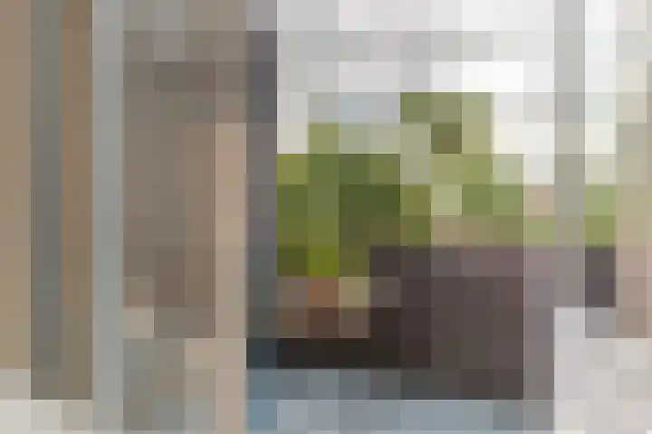Petrus Campersingel 31 17 Groningen thumbnail 15