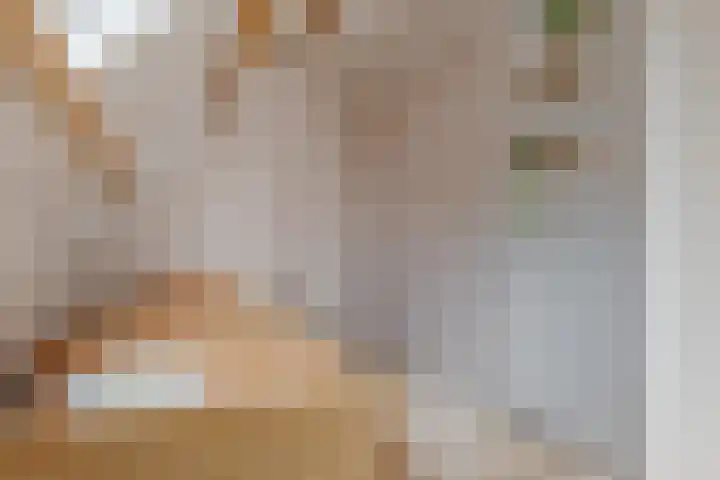 Petrus Campersingel 31 17 Groningen thumbnail 31