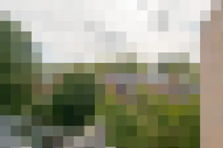Petrus Campersingel 31 17 Groningen thumbnail 35