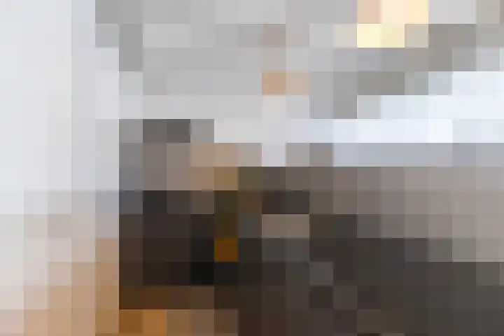 Petrus Campersingel 31 47 Groningen thumbnail 12