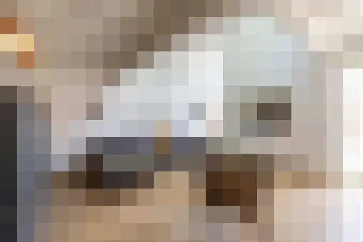Petrus Campersingel 31 47 Groningen thumbnail 17
