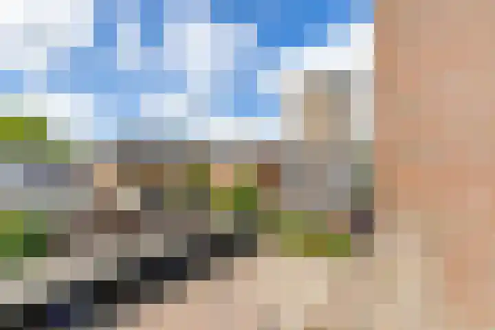 Petrus Campersingel 31 47 Groningen thumbnail 19