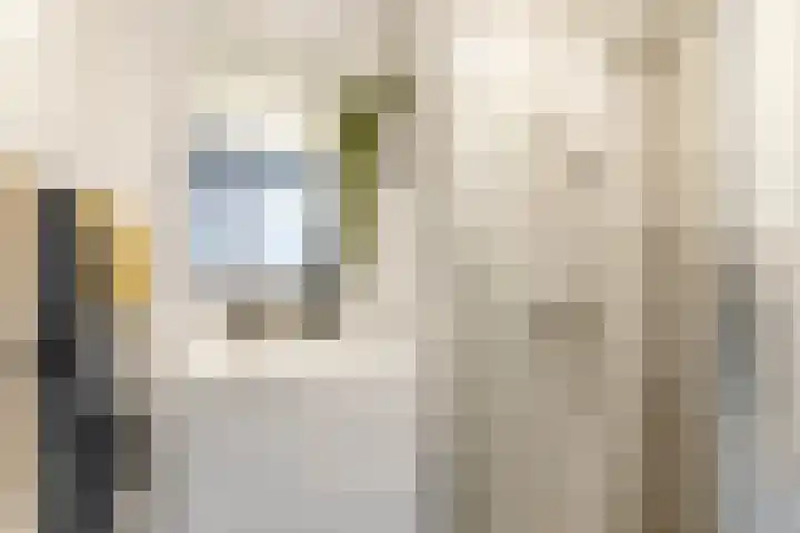 Petrus Campersingel 31 47 Groningen thumbnail 24
