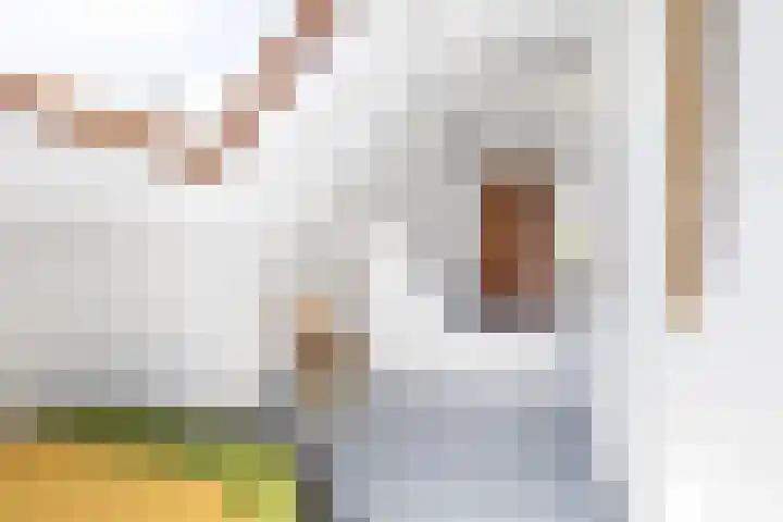 Petrus Campersingel 31 47 Groningen thumbnail 31
