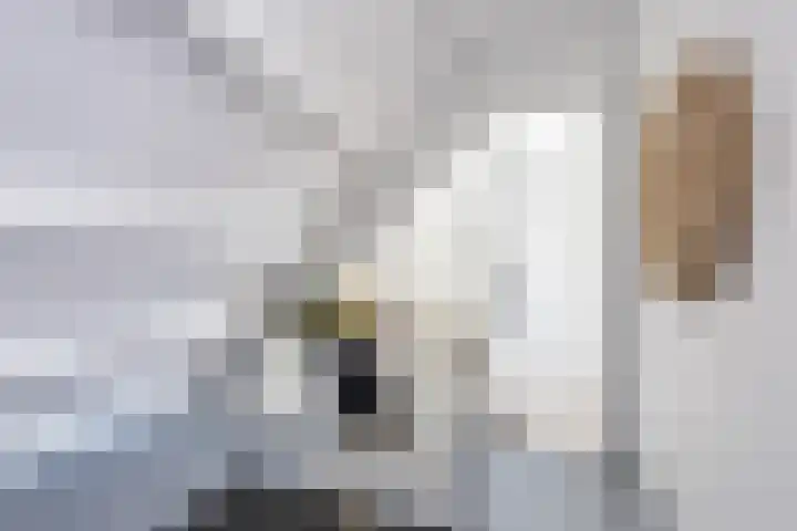 Petrus Campersingel 31 47 Groningen thumbnail 35
