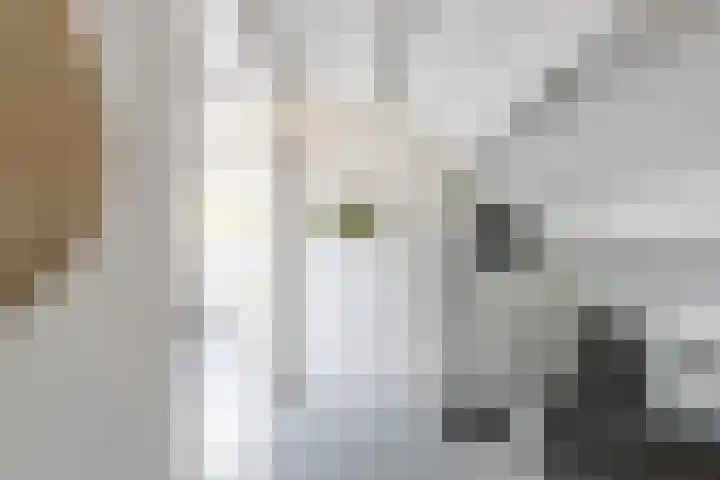 Petrus Campersingel 31 47 Groningen thumbnail 37