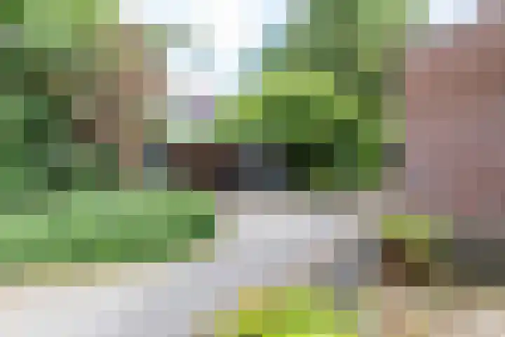 Petrus Campersingel 31 47 Groningen thumbnail 39