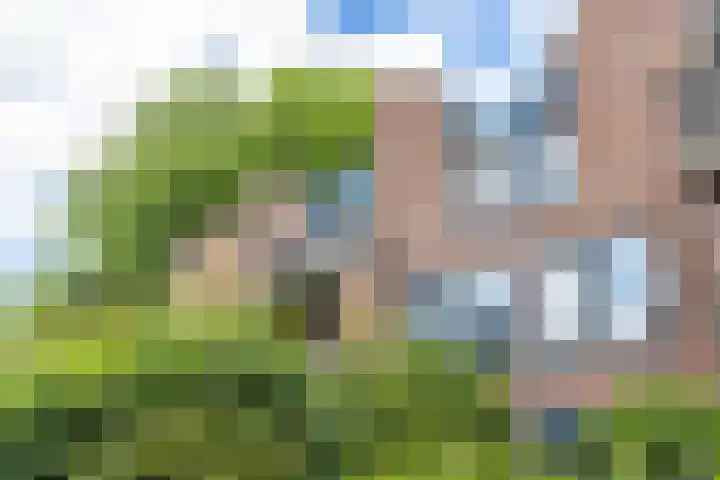 Petrus Campersingel 31 47 Groningen thumbnail 5