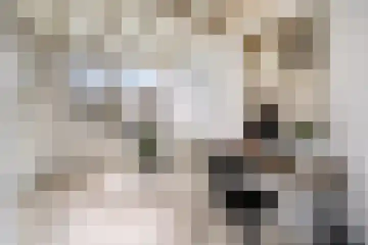 Petrus Campersingel 31 5 Groningen thumbnail 18