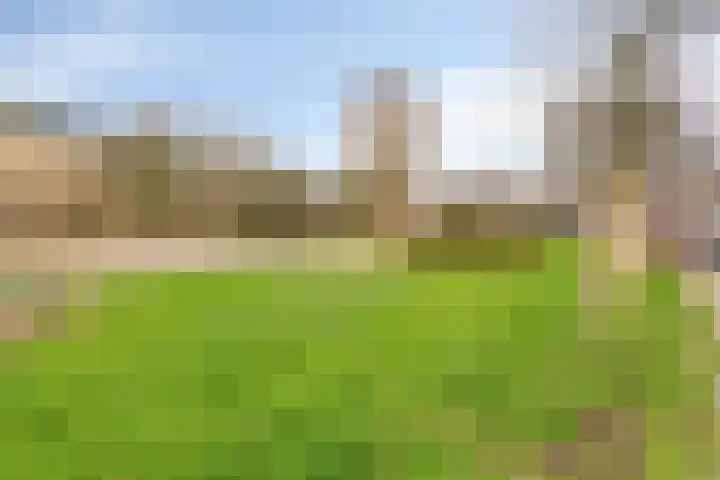 Petrus Campersingel 31 5 Groningen thumbnail 24