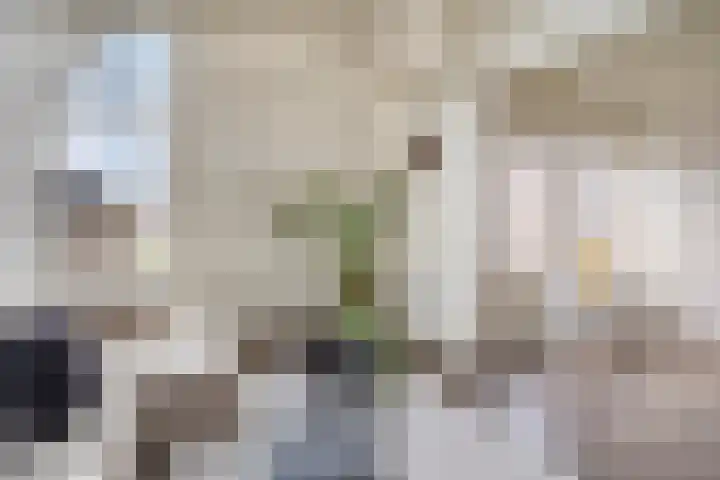Petrus Campersingel 31 5 Groningen thumbnail 4