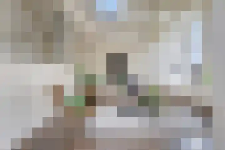 Petrus Campersingel 31 5 Groningen thumbnail 5