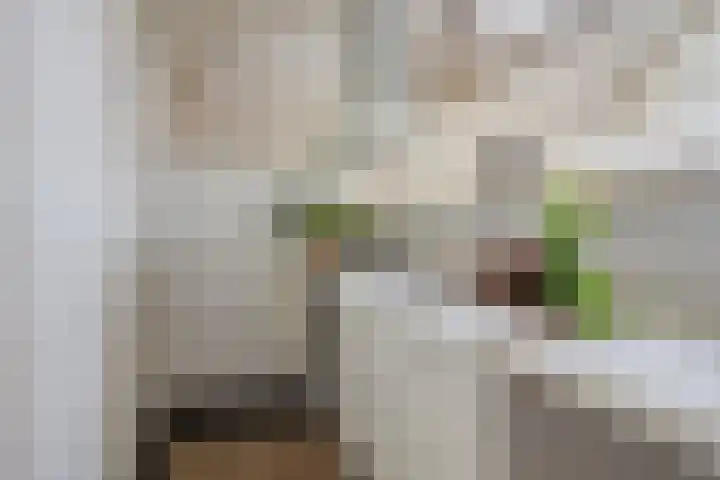 Petrus Campersingel 31 5 Groningen thumbnail 9