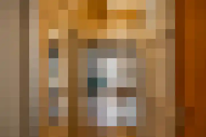 Petrus Campersingel 31 51 Groningen thumbnail 6