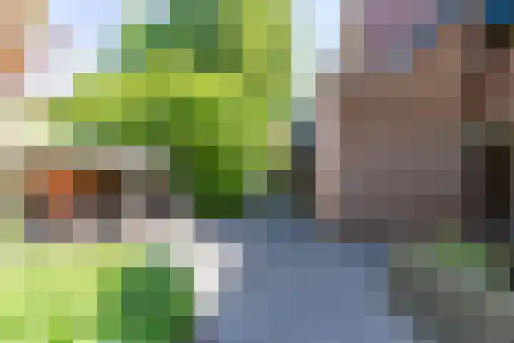 Petrus Campersingel 31 52 Groningen thumbnail 10