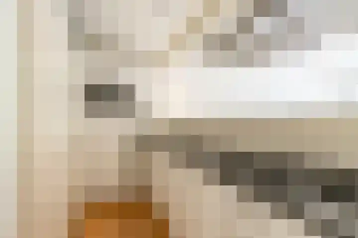 Petrus Campersingel 31 52 Groningen thumbnail 17