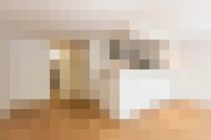 Petrus Campersingel 31 52 Groningen thumbnail 18